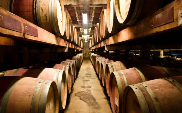 Kakheti Wine Tour 