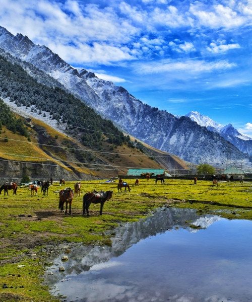 Jammu and Kashmir