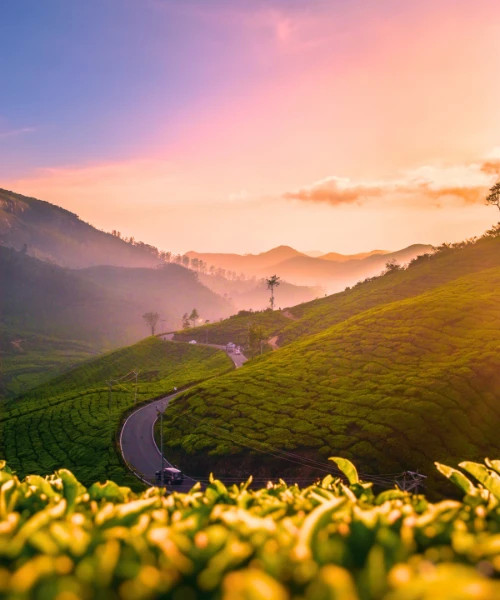 Exotic Kerala tour