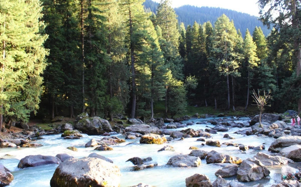 Jewels of Kashmir