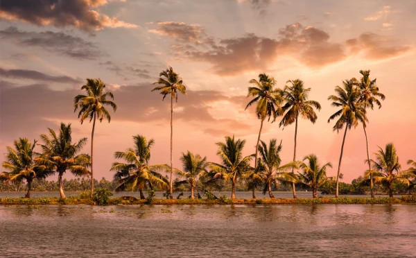 Discover Best of Kerala