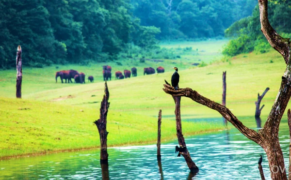 Exotic Kerala tour