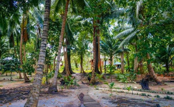 Islands of Andaman