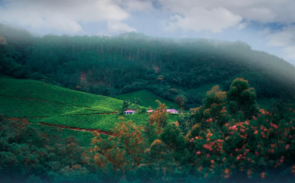 Exotic Kerala tour
