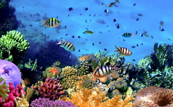 Tempting Thailand 6 Days 5 Nights