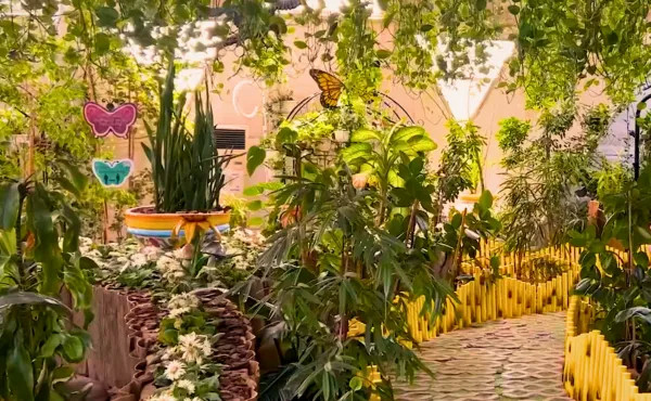 Butterfly Garden