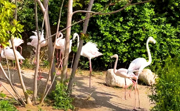 Baku Zoological Park 