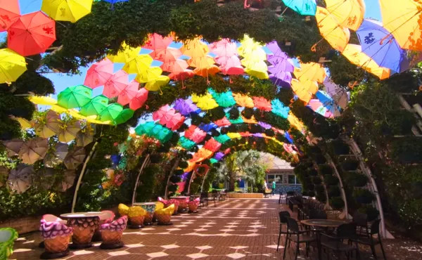 Butterfly Garden