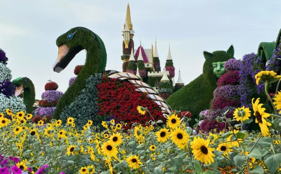 Miracle Garden