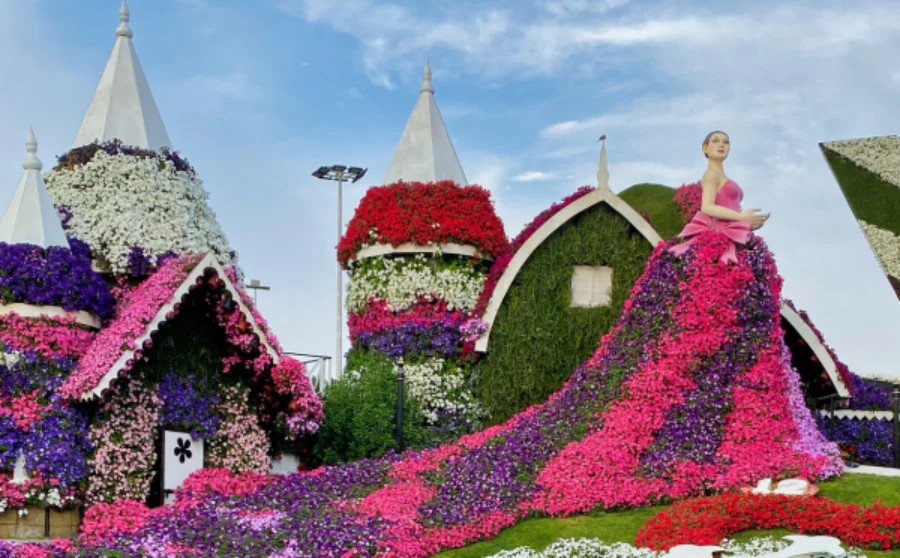 Miracle Garden