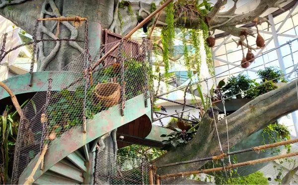 Green Planet