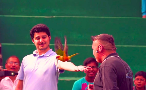 Bird show 