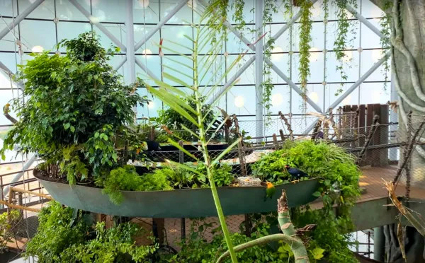 Green Planet