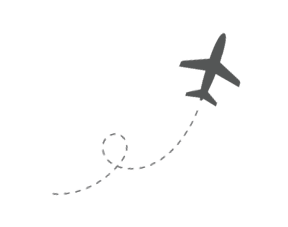 Plane icon